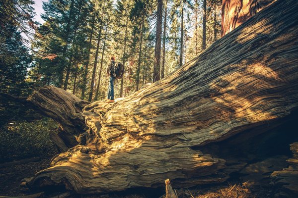 Comment organiser une exploration des châteaux hantés en Écosse ?