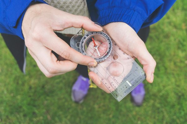 Voyager dans des réserves naturelles : séjours avec les gardiens de la faune