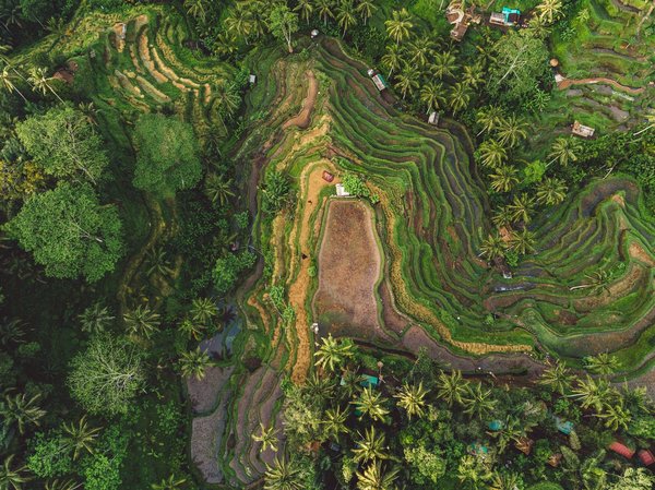 Peut-on louer une maison sur pilotis à Bali pour des vacances paradisiaques ?